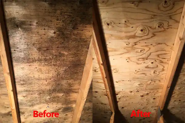 water damage restoration service Briarcliff Manor